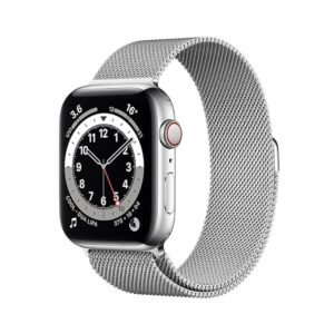 Apple Watch Series 6 Stainless Steel 44mm GPS+Cellular (Excellent Condition)(B+) Renewed - Silver (Battery 80%+)