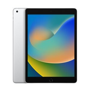 Apple iPad 9th Gen 256GB Cellular (Good Condition)(B-) Renewed - Silver (Battery 85%+)